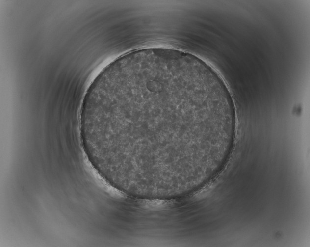 X0000114620949200911171054