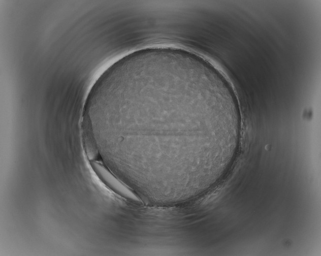 X0000114620951200911171054