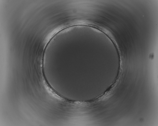 X0000114620954200911171054