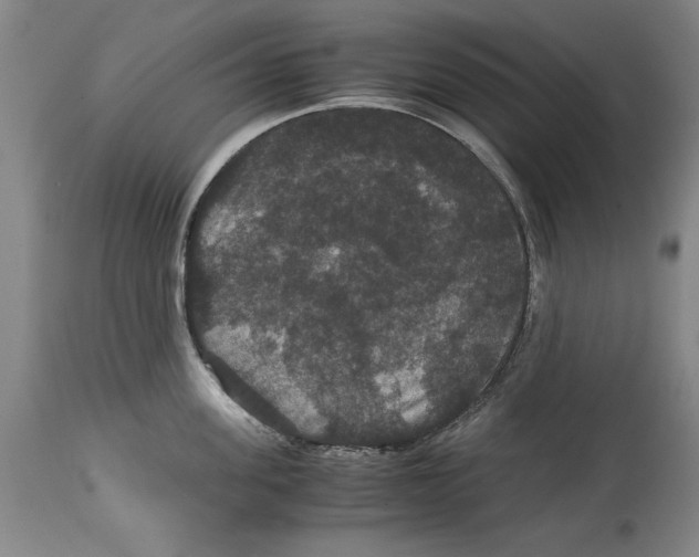 X0000114620955200911171054