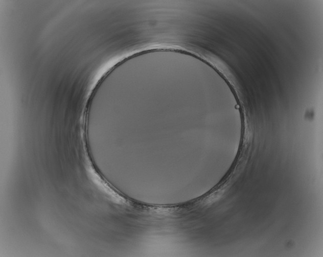 X0000114620958200911171055