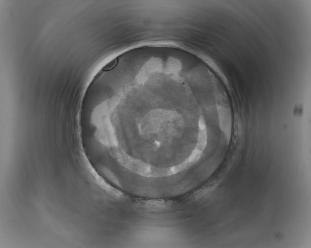 X0000114620959200911171055