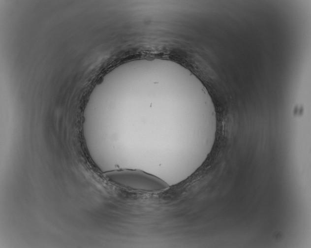 X0000114620961200911171054