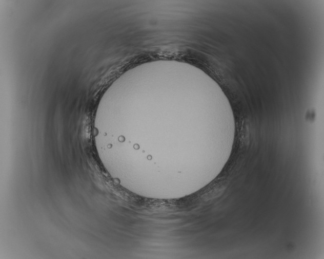 X0000114620962200911171054