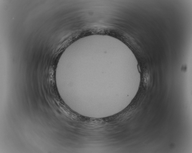 X0000114620964200911171054