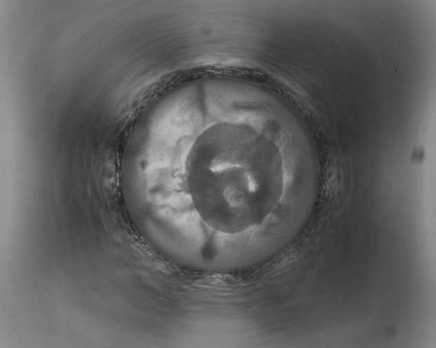 X0000114620966200911171054