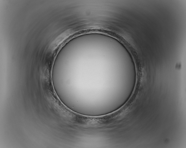 X0000114620969200911171054