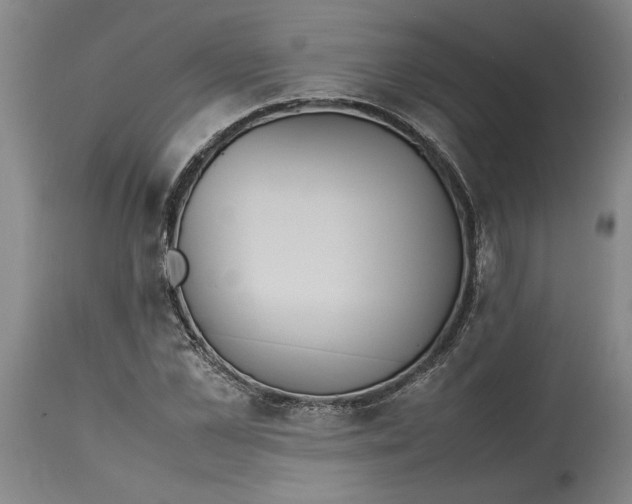 X0000114620973200911171054