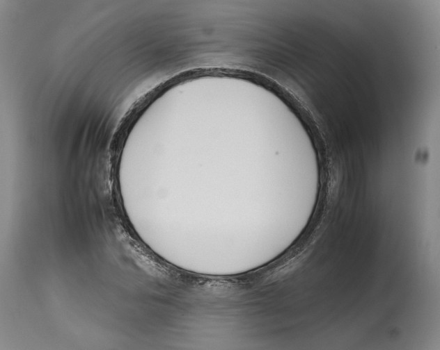 X0000114620974200911171054