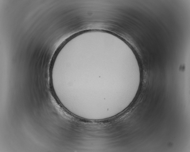 X0000114620980200911171054