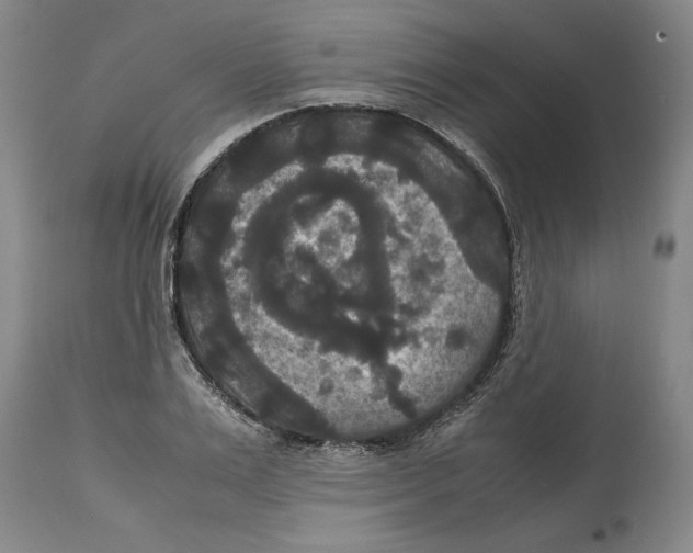 X0000114620983200911171054