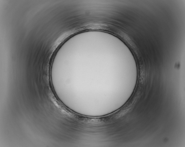 X0000114620986200911171054