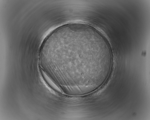 X0000114620989200911171053