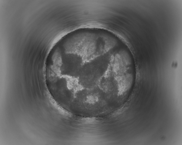 X0000114620990200911171053