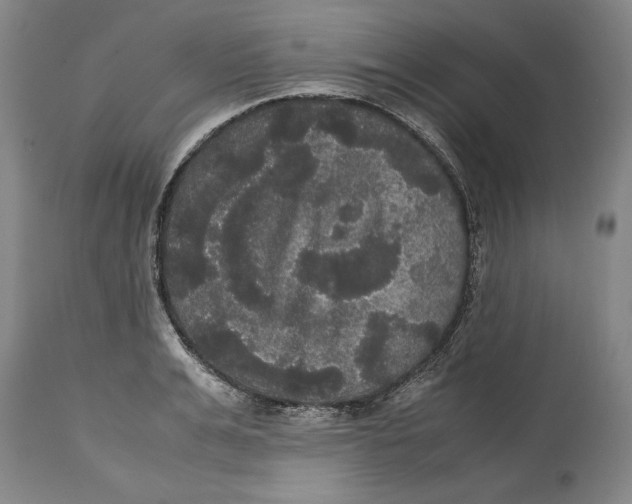 X0000114620991200911171053