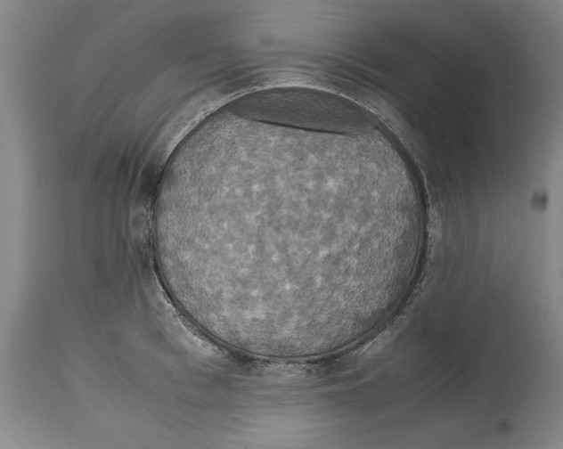 X0000114620993200911171053