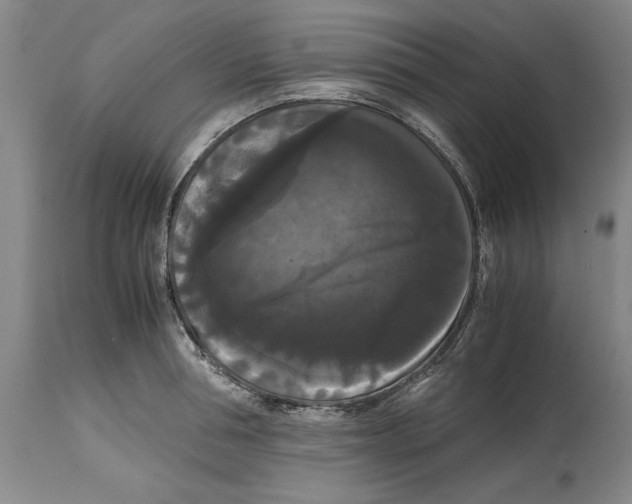 X0000114620994200911171053