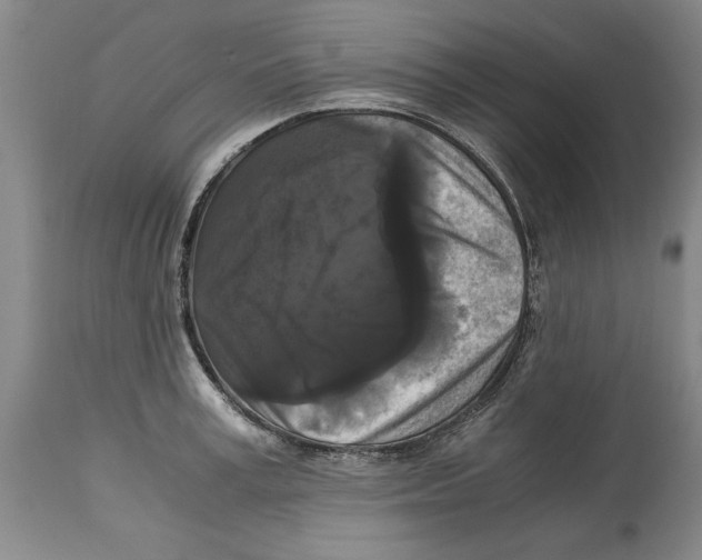 X0000114620995200911171053