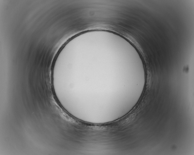X0000114620996200911171053