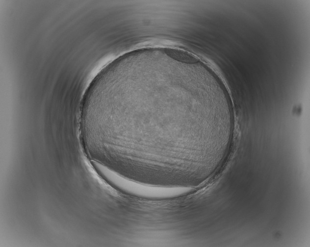 X0000114620997200911171053