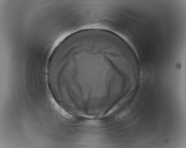 X0000114620998200911171053