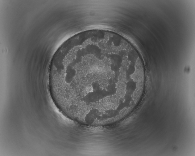X0000114620999200911171053