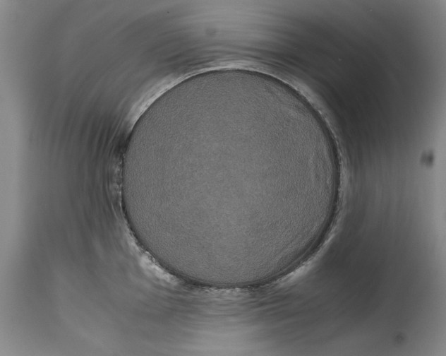X0000114621001200911171053