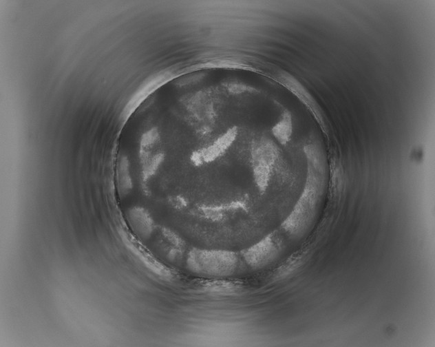 X0000114621002200911171053