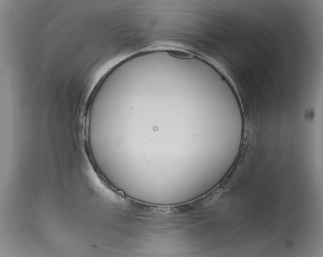 X0000114621003200911171053