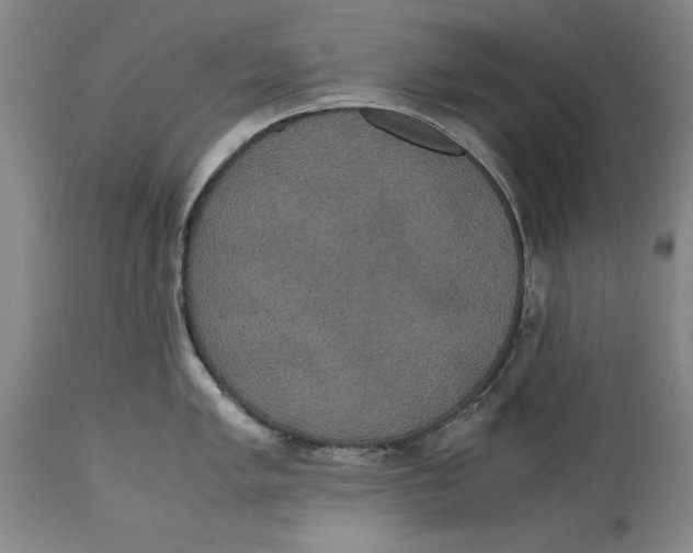 X0000114621005200911171053