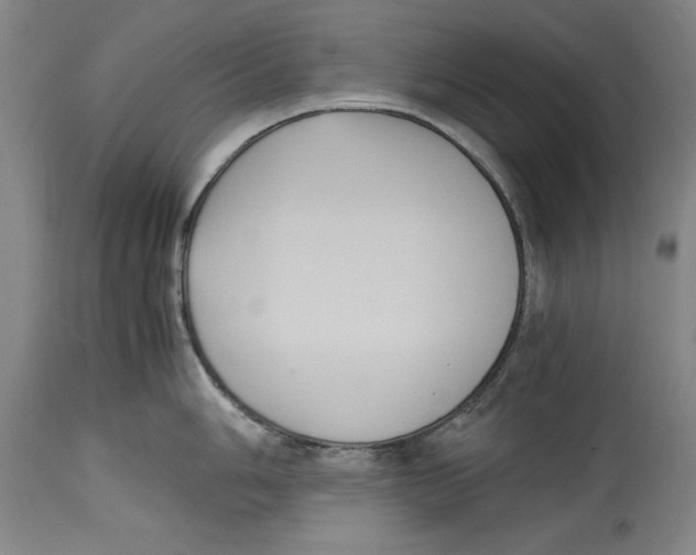 X0000114621006200911171053