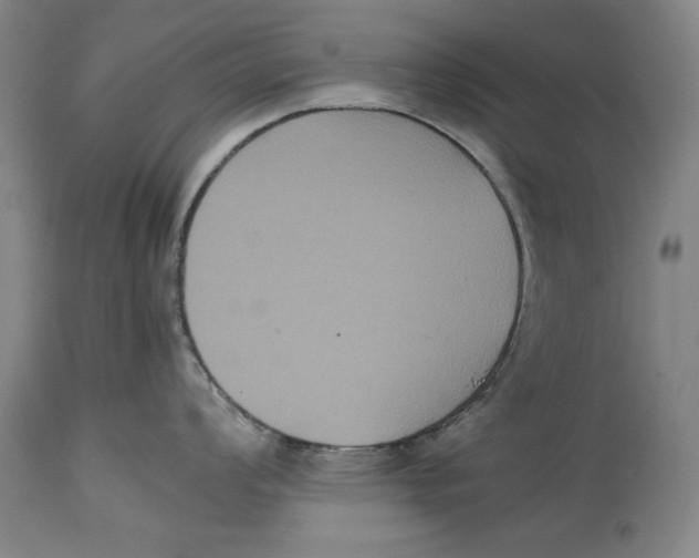 X0000114621008200911171053