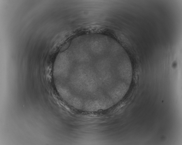 X0000114621010200911171053