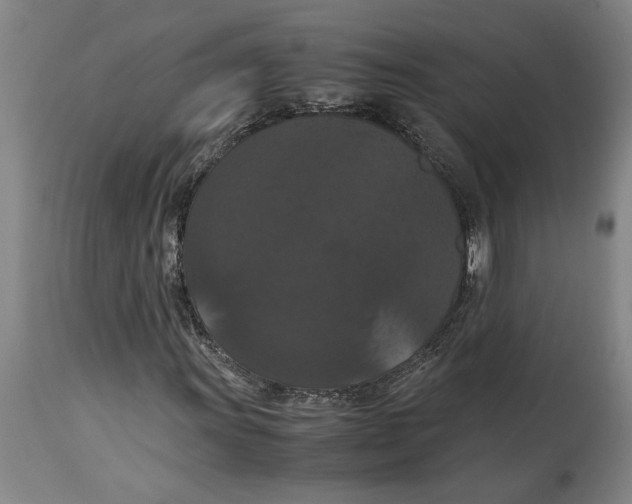 X0000114621011200911171053