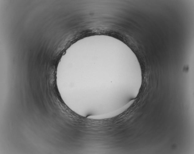 X0000114621012200911171053