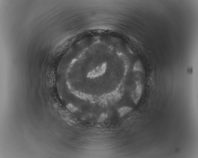 X0000114621014200911171053