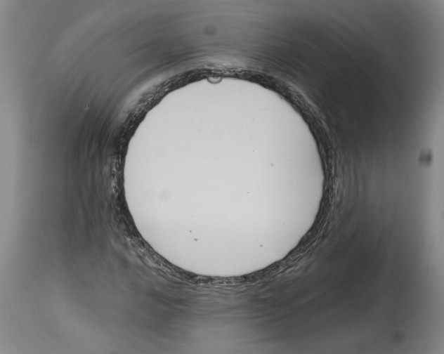 X0000114621016200911171053