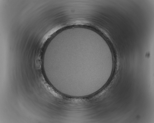 X0000114621018200911171053