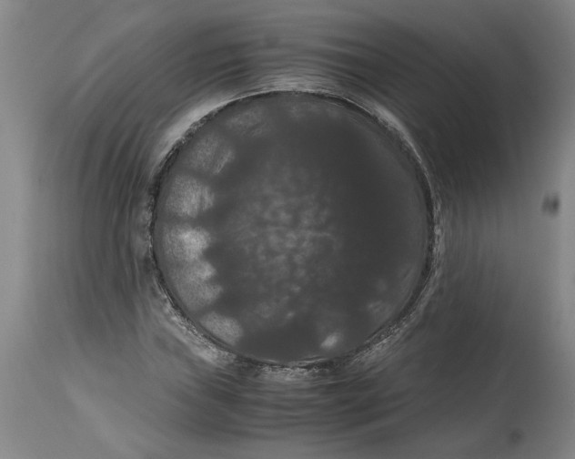 X0000114621019200911171053