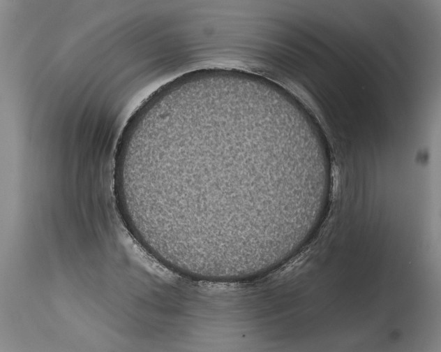 X0000114621020200911171053