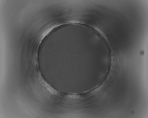 X0000114621023200911171053