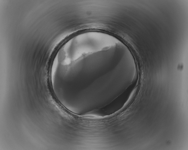 X0000114621024200911171053