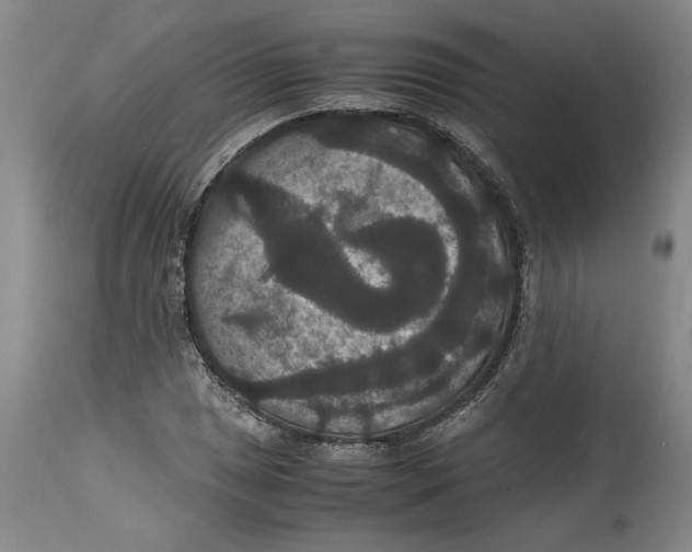 X0000114621025200911171053