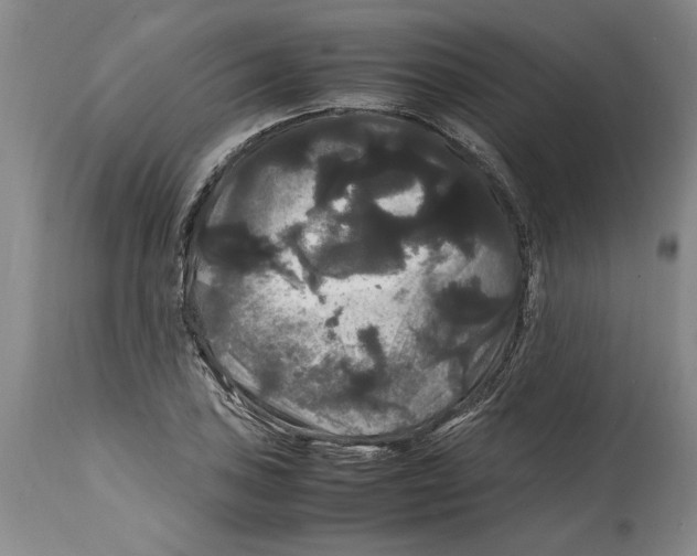 X0000114621027200911171053