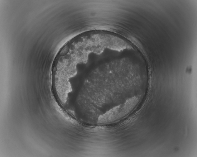 X0000114621028200911171053