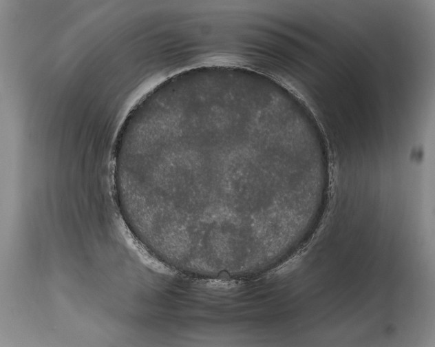 X0000114621029200911171053