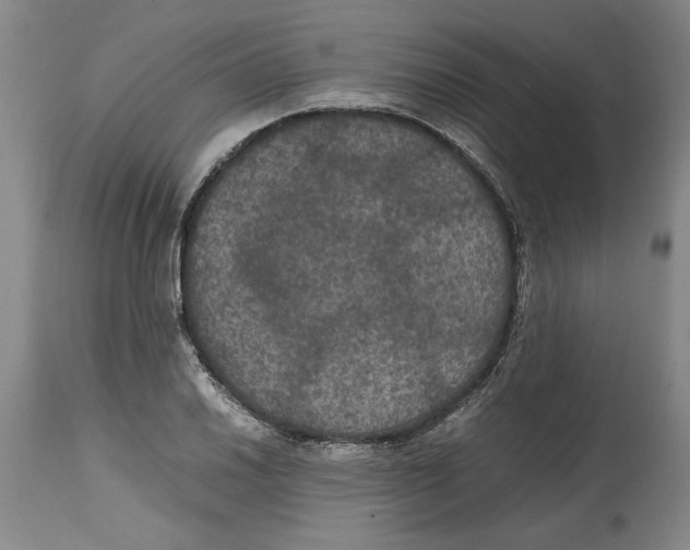 X0000114621030200911171053
