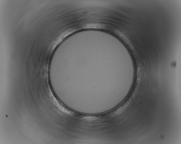 X0000114621033200911171053