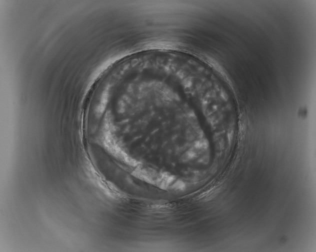 X0000114621035200911171053