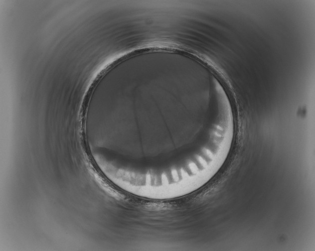 X0000114621037200911171053
